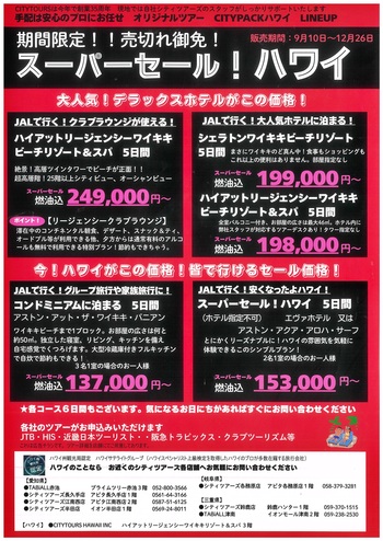 【12/26(金)まで】期間限定 スーパーセール！ ハワイ