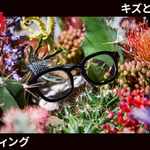 「JINS無敵コーティング」10％OFF